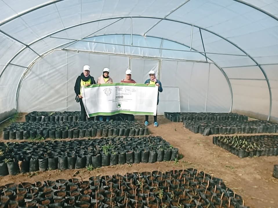 JEEDD – Jeunesse, Égalité H/F, Environnement, Développement Durable