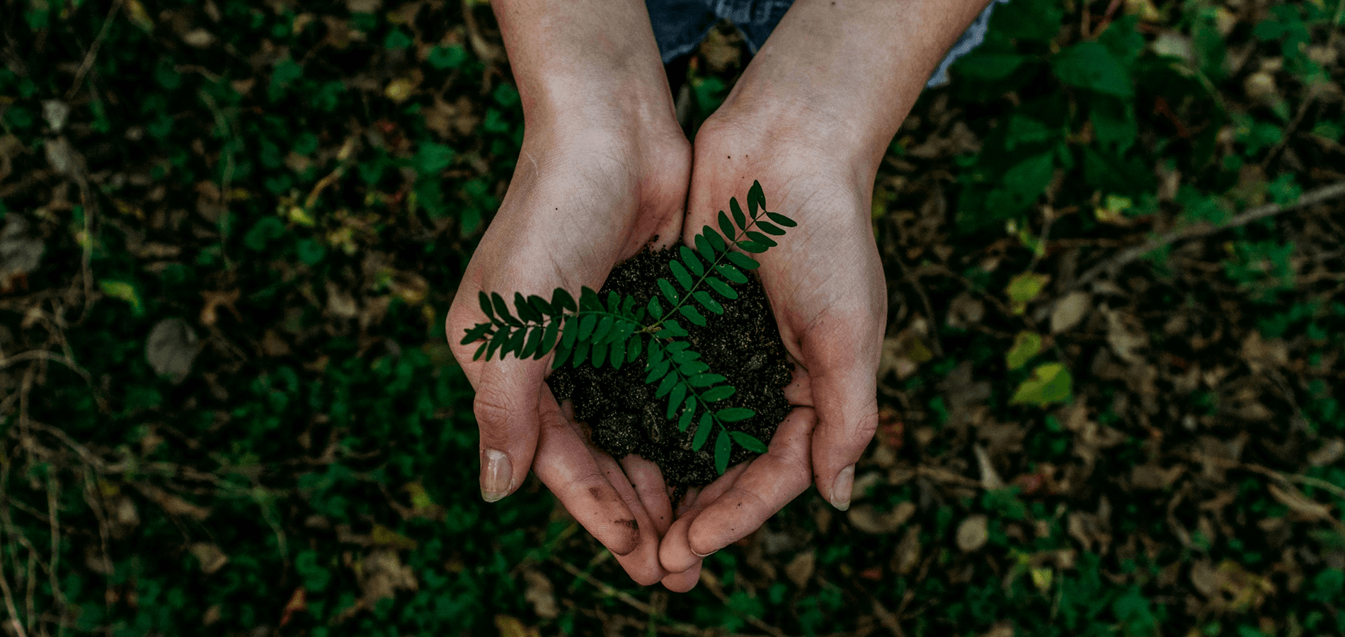 Taking action for sustainable development