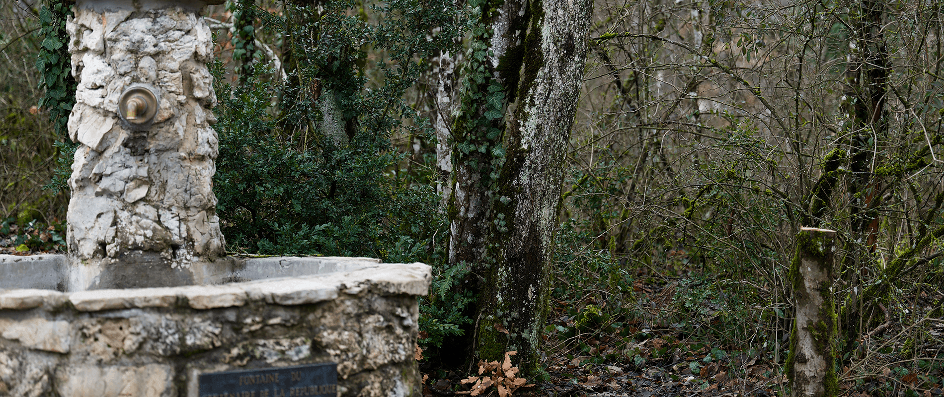 13 projects for a lasting impact